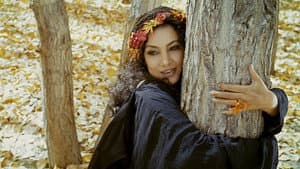 The Wishing Tree — foto 1