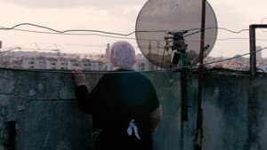 كذب أبيض — foto 1