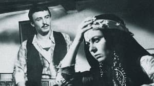 Ezo Gelin — foto 3