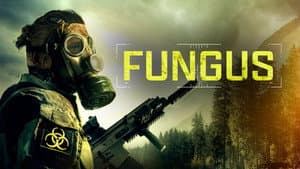 Fungi — foto 2