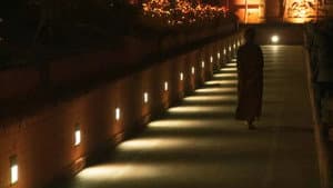 乘愿再来九百年 — foto 1