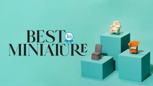 Best In Miniature — foto 2