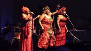 Three Ladies of Blues - 37.Internacionale Jazzwoche — foto 2