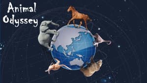 L’Odyssée des animaux — foto 2