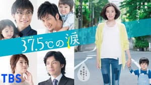 37.5℃の涙 — foto 2