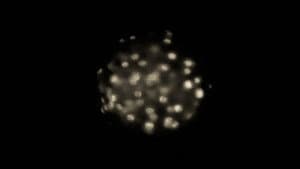 Phosphene — foto 1