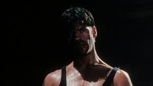 Night of the Warrior — foto 8