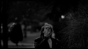 Palliative — foto 2