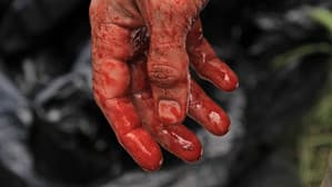 Terror en el bosque — foto 3