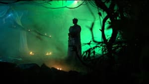 O Bosque dos Sonâmbulos — foto 4