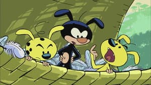 Episodio 51