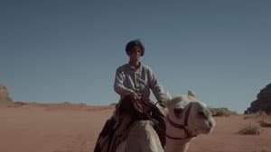 هجّان — foto 6