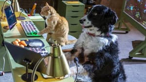 Como perros y gatos 3: Patitas unidas — foto 6