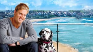 Bondi Vet — foto 5