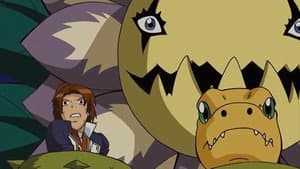 Falcomon, ¿Amigo o Enemigo?