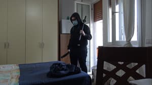 Memories from the Quarantine — foto 1
