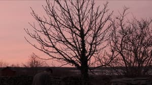 الشتاء الأخير — foto 5