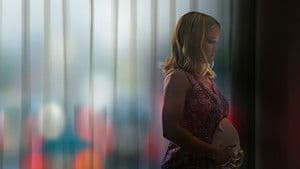 Stolen Baby: The Murder of Heidi Broussard — foto 1