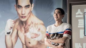 판소리 복서 — foto 3