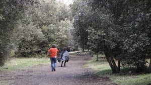 Oblio — foto 7
