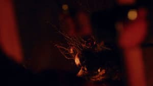 Grieve — foto 1