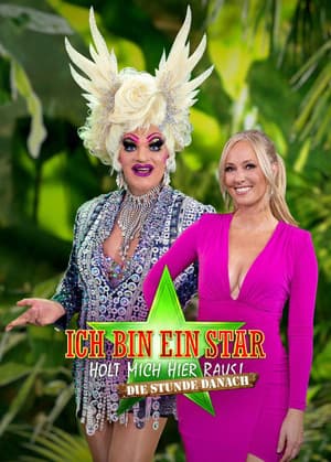 Temporada 8