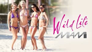 Wild Life: Miami — foto 1