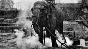 Electrocuting an Elephant — foto 1