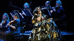 Björk Orkestral — foto 2
