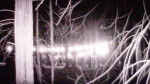 The Savior's Witness — foto 1