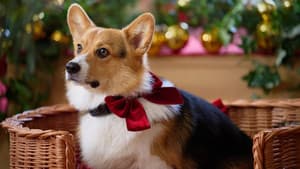A Royal Corgi Christmas — foto 7