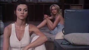 The Night They Took Miss Beautiful — foto 2