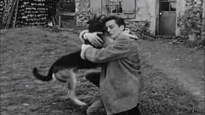 Le Chien — foto 10