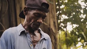 Papa Machete — foto 6
