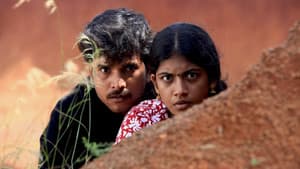 முந்திரிக்காடு — foto 4
