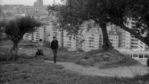 Os Verdes Anos — foto 3