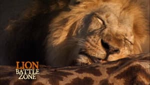Lion Battle Zone — foto 3