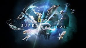 Super/Natural — foto 7