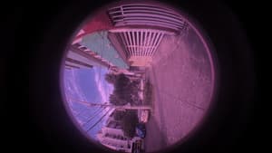 Pez Dorado — foto 1