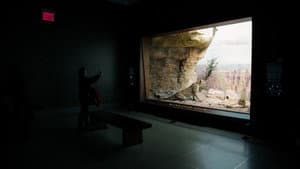 Curiosity and Control — foto 2
