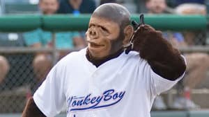 Come Home Monkey Boy — foto 1