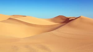 Un monde sans sable — foto 1