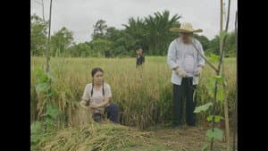 Sebayan — foto 3