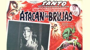 Atacan las brujas — foto 2