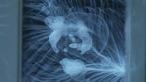 Voyage sur les flots célestes : Les Cartographes de l'Univers — foto 2