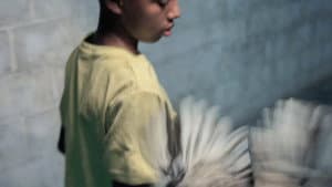 Madre pájaro — foto 1