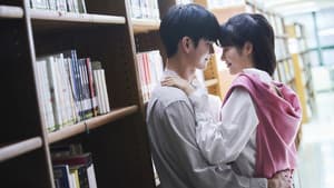 경우의 수 — foto 2