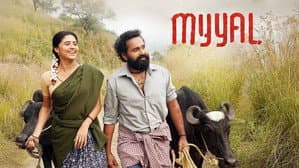 மையல் — foto 1