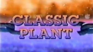 Classic Plant — foto 1