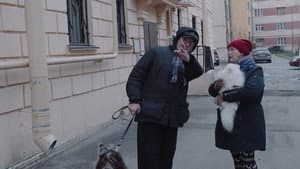 Поздняя осень — foto 1